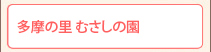 ̗ނ̉